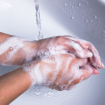 Soap Powder Handwash 5kg 