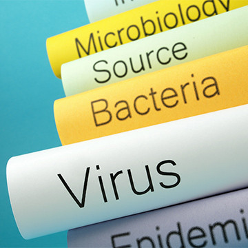 Salmonella Antigen Pos/Neg Control